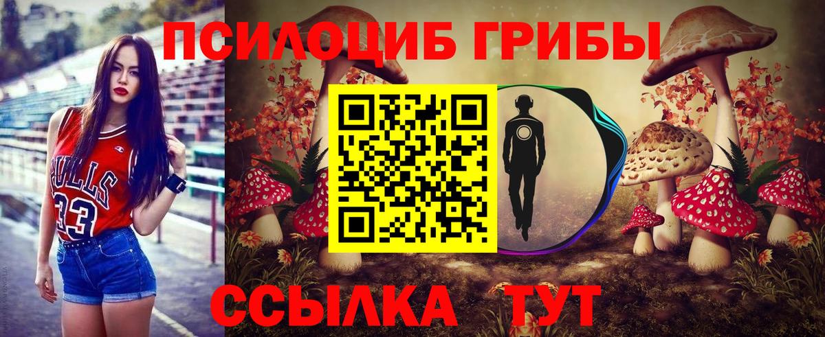 Галлюциногенные грибы GOLDEN TEACHER Сафоново
