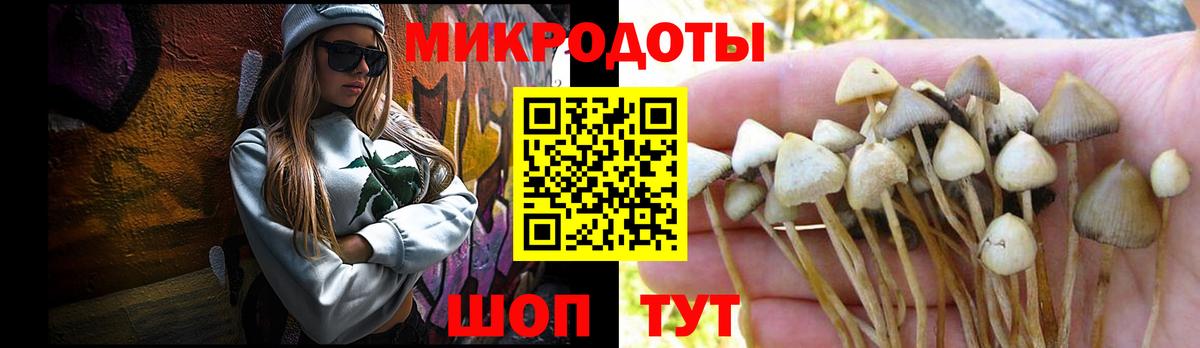 Сафоново  Псилоцибиновые грибы мухоморы  Вход с VPN 